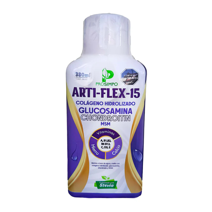 JARABE ARTI FLEX 15 NATURAL LIFE X380ML